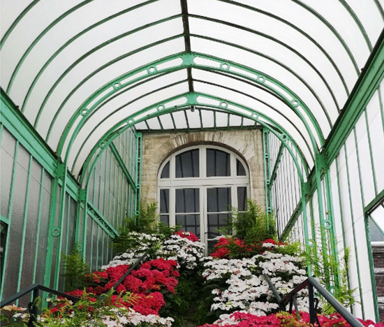 Invernadero de plantas de jardín