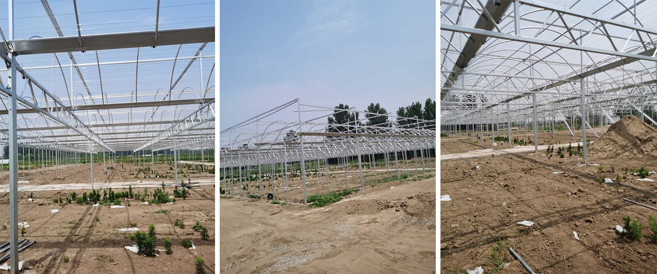 Philippines-greenhouse-project