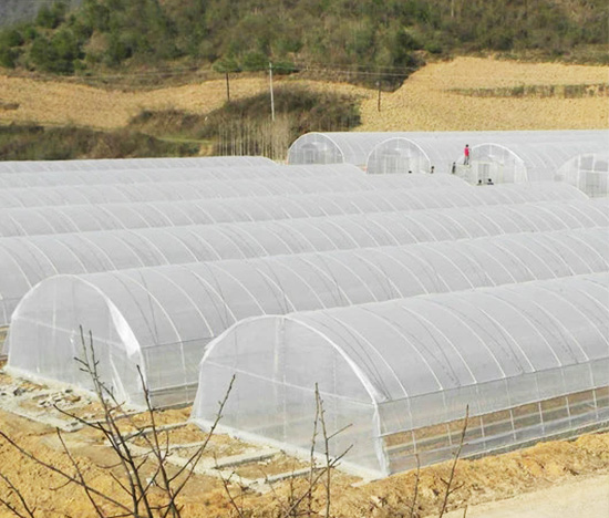 Fabricante de invernaderos tipo túnel