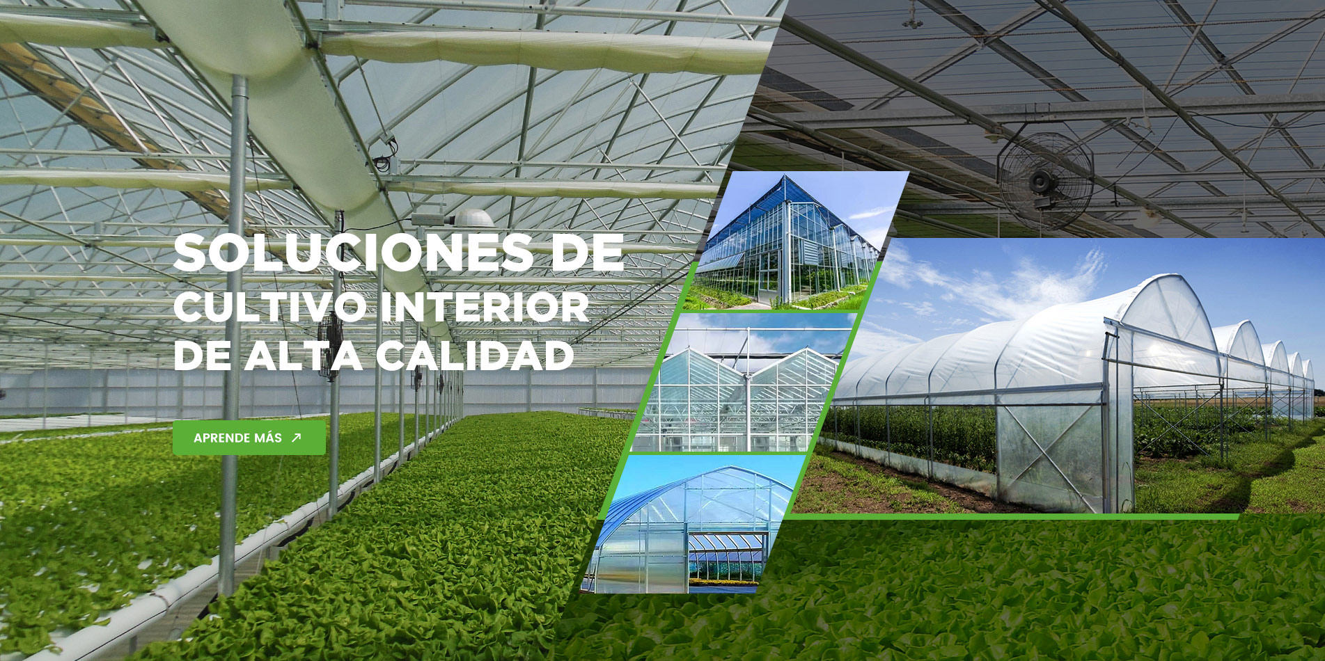 Doran Greenhouse | Vegetable Greenhouse | Tunnel greenhouse | Hydroponic greenhouse